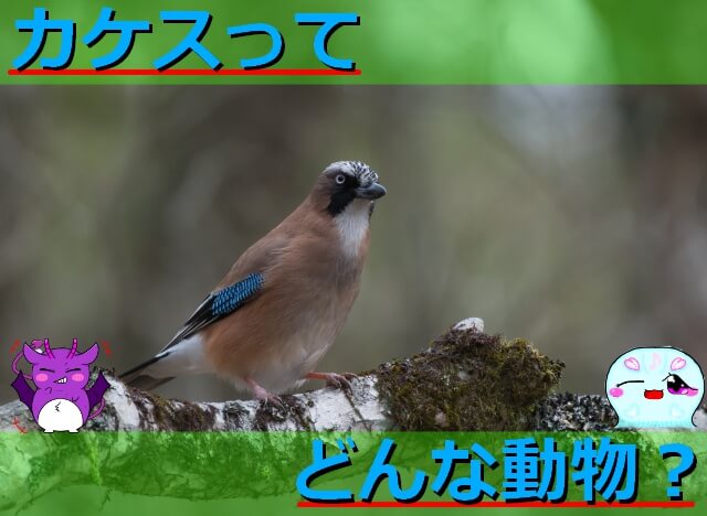 Thumbnail of post image 176